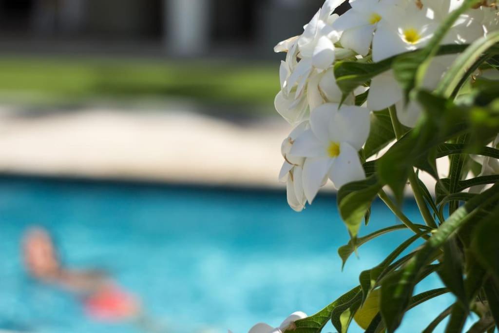 Goudhaen Luxury Private Apartments Jan Thiel Beach Εξωτερικό φωτογραφία